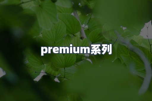 premium系列