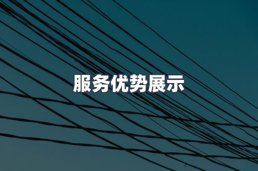 服务优势展示